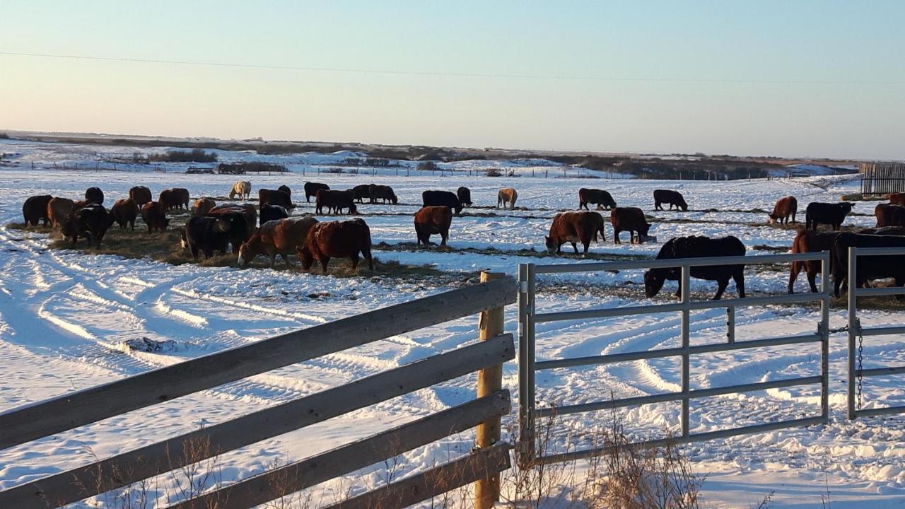 Anna'S Prairie Comfort B & B Moose Jaw Zewnętrze zdjęcie